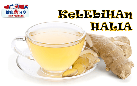 Featured image for Kelebihan Halia Yang Mungkin Anda Tidak Tahu