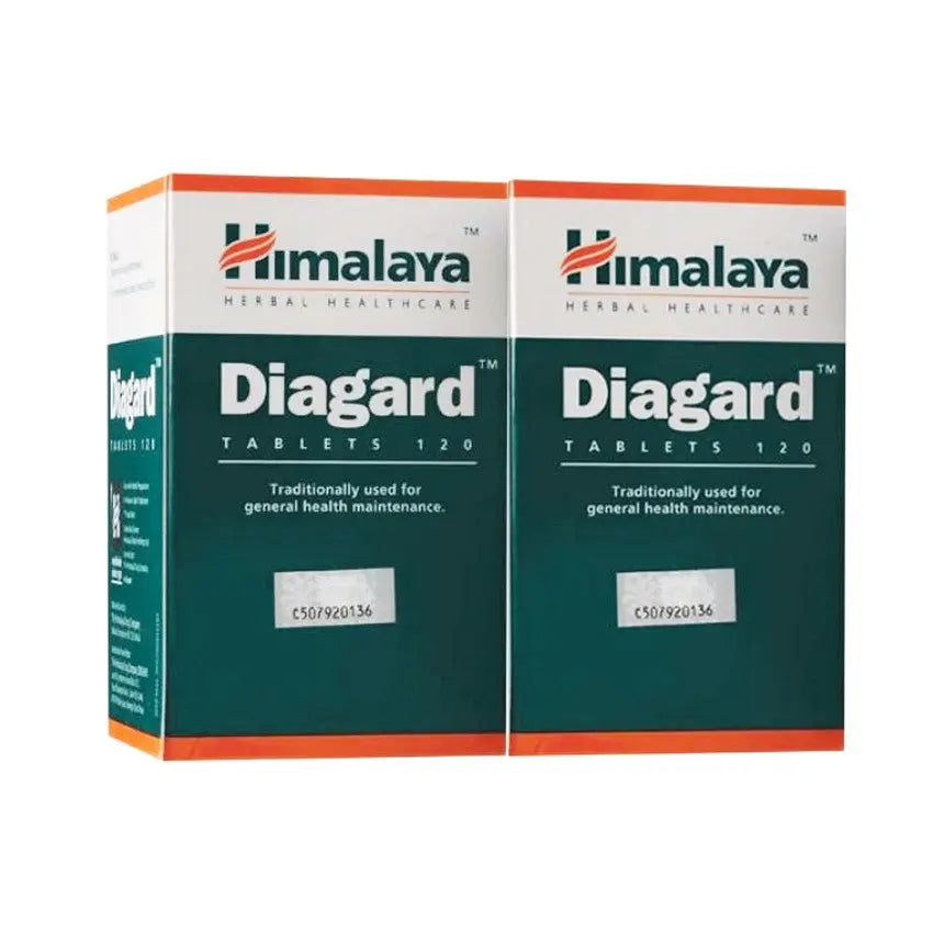 hisamitsu-salonpas-patch-l-size-2s