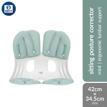 curble-grand-pastel-1s-mint-peach-lavendar-back-support product image 1