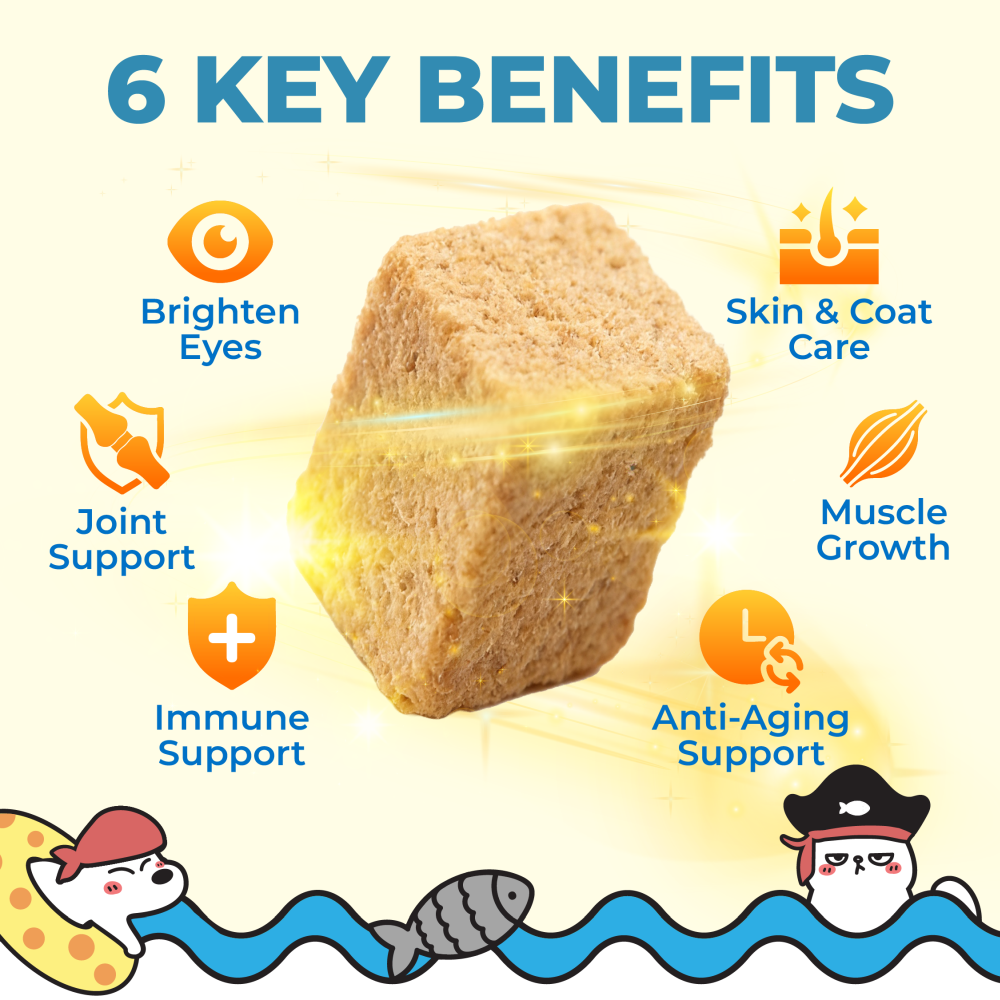 Ramboo Ocean Feast Premium Freeze-Dried Cat & Dog BARF Diet 100g | Supports Muscle Growth & Gut Health RAMBOO
