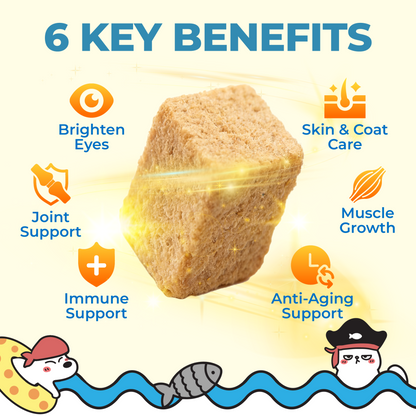 Ramboo Ocean Feast Premium Freeze-Dried Cat & Dog BARF Diet 100g ×4packs | Supports Muscle Growth & Gut Health RAMBOO