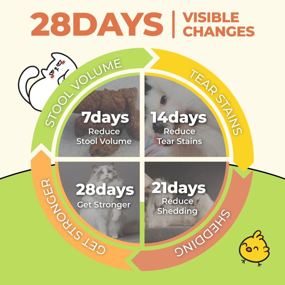 Ramboo Land Feast Premium Freeze-Dried Cat & Dog BARF Diet 125g ×4packs | Supports Muscle Growth & Gut Health RAMBOO