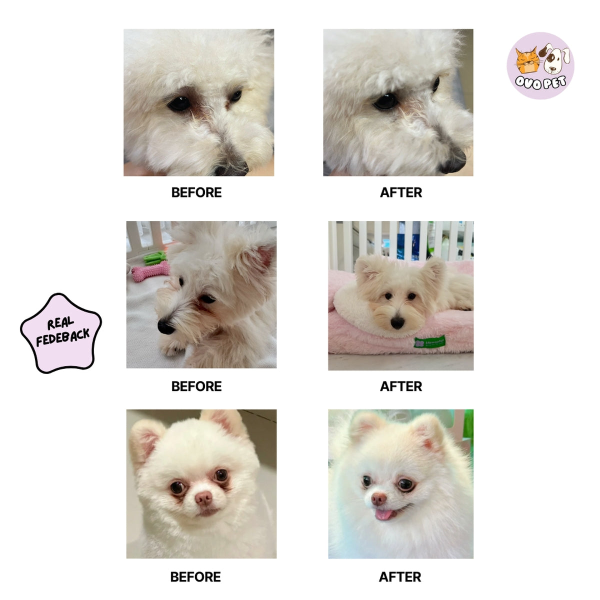 OVO Pet Tear Stains 60mL | Soothes & Cleans Away Eye Discharge OVO Pet