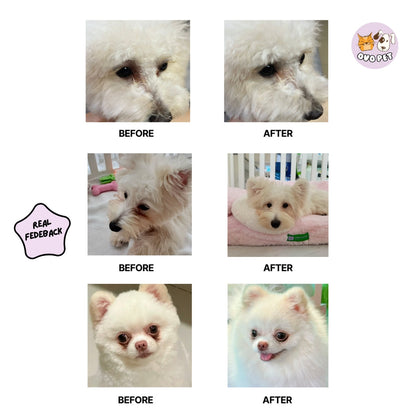 OVO Pet Tear Stains 60mL | Soothes & Cleans Away Eye Discharge OVO Pet