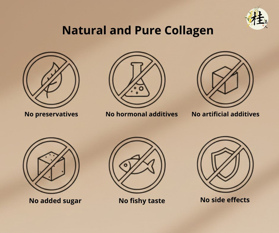 Beauty Blossom Collagen - Fish Scale Collagen Jelly 150mL (Longan Red Dates 3s + Osmanthus 3s) | Natural Fish Collagen S Beauty Blossom
