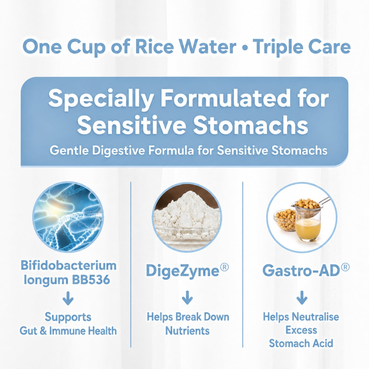 Good Life 360 Ricemedy Soothing Rice Water 21g × 10s | Gentle Whole-Grain Wellness Drink Good Life 360
