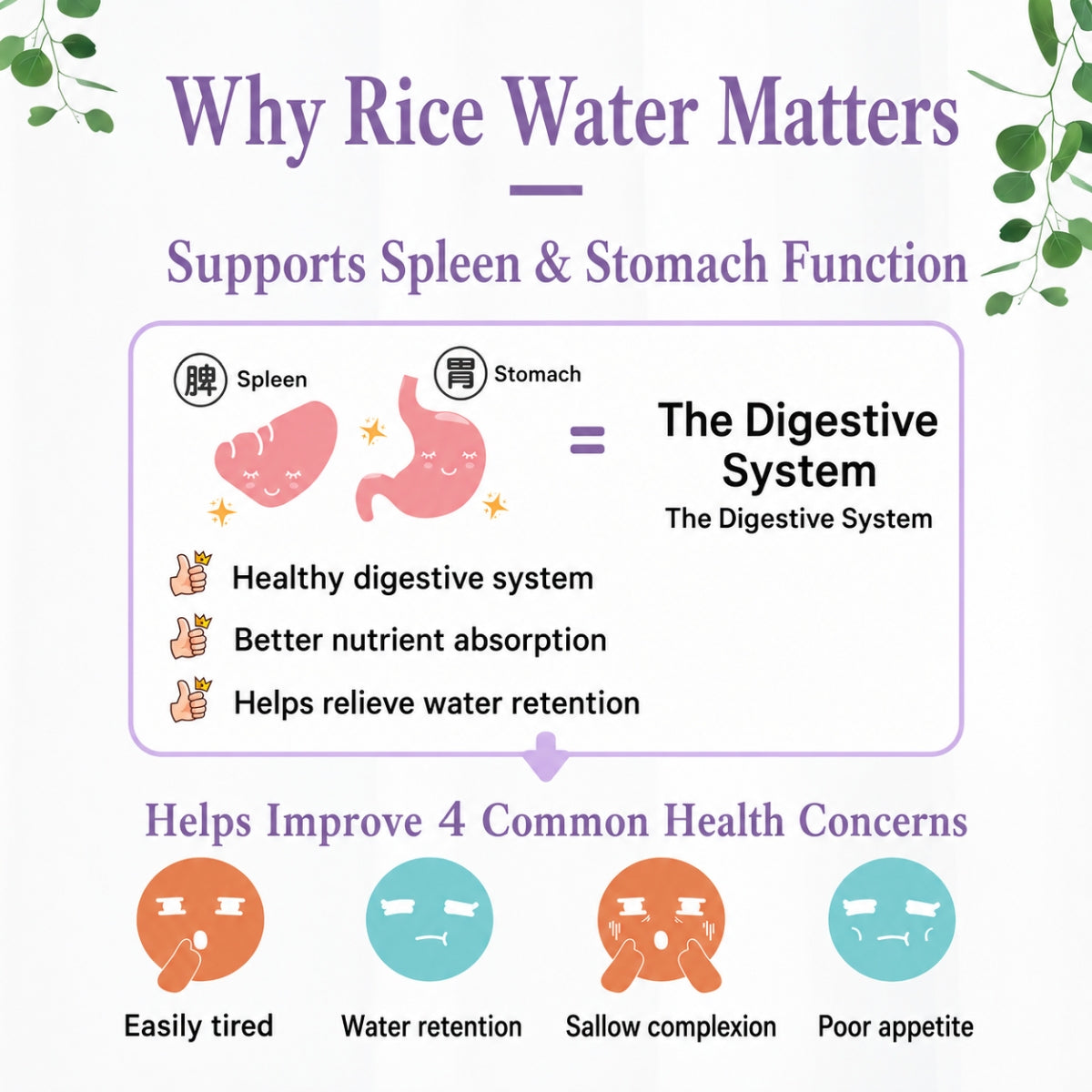 Good Life 360 Ricemedy Mixberries Rice Water 25g × 10s | Berry-Flavoured Rice & Multinutrient Drink Good Life 360