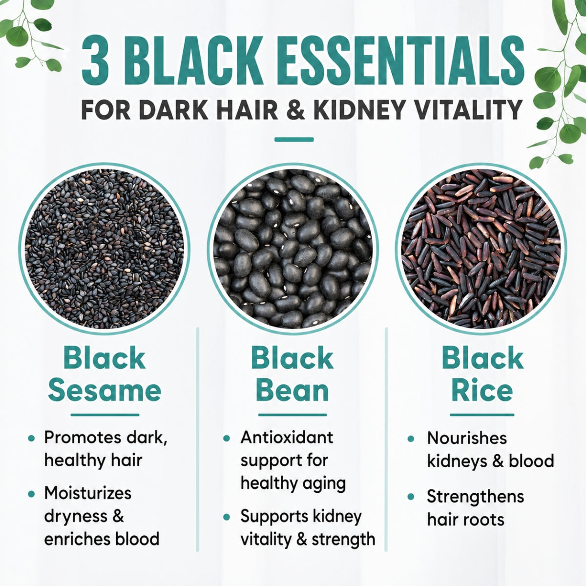 Good Life 360 Ricemedy Black Sesame Rice Water 30g × 10s | Black Sesame & Stomach Nourishment Good Life 360