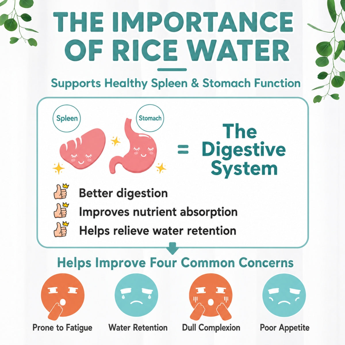 Good Life 360 Ricemedy Black Sesame Rice Water 30g × 10s | Black Sesame & Stomach Nourishment Good Life 360