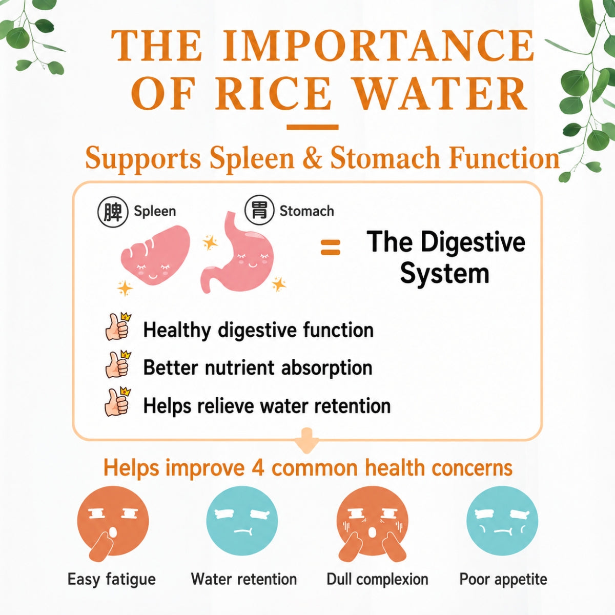 Good Life 360 Ricemedy Barley Rice Water 21g ×15s | Gentle Grain & Stomach Invigorating Good Life 360