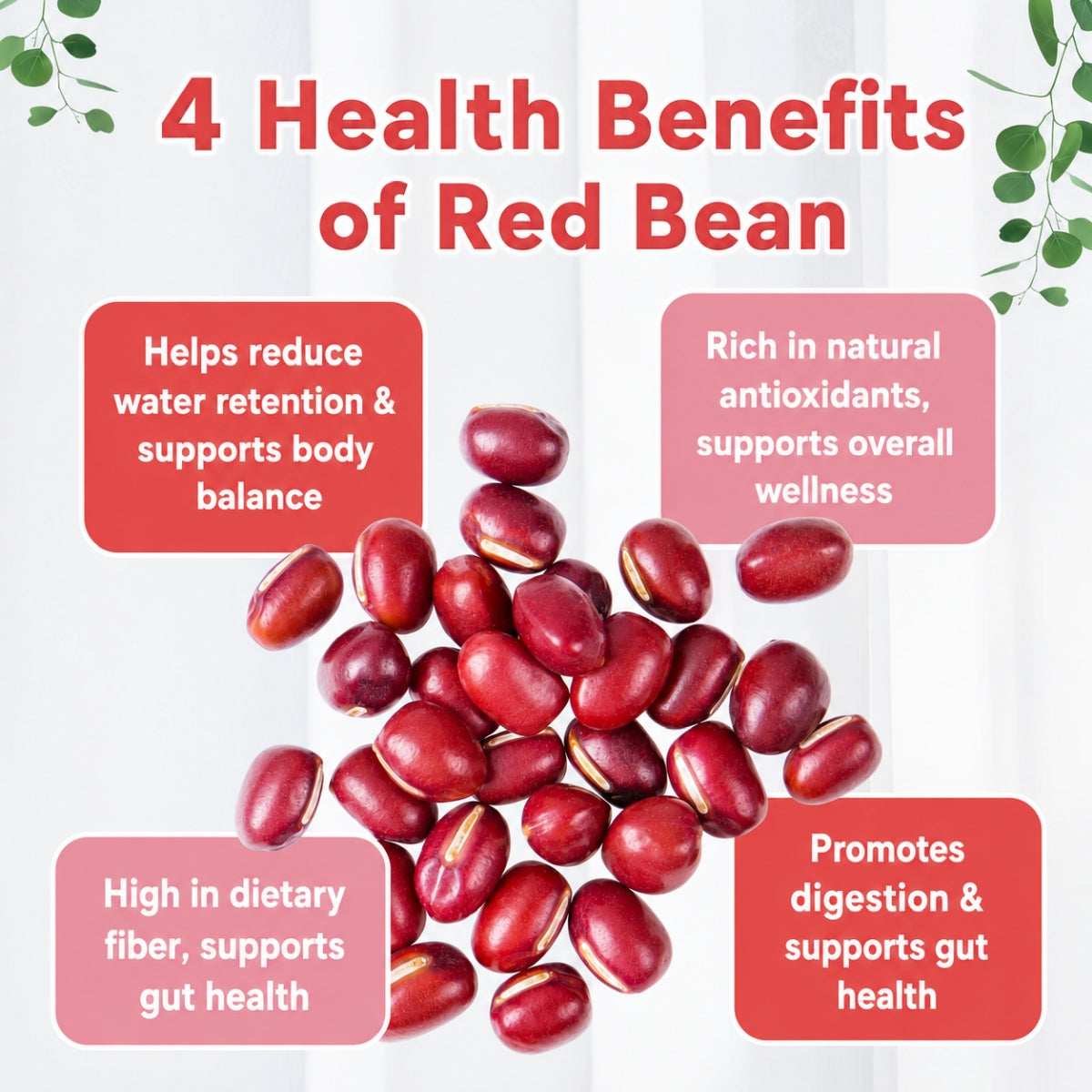 Good Life 360 Ricemedy Red Bean Rice Water 21g × 15s | Red Bean & Whole-Grain Nourishing Drink Good Life 360