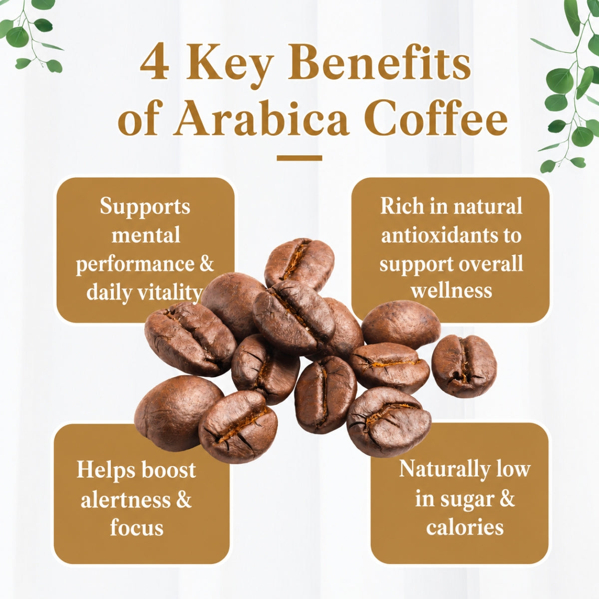 Good Life 360 Arabica Rice Water 21g×15s | Gentle Coffee Pick-Me-Up Good Life 360