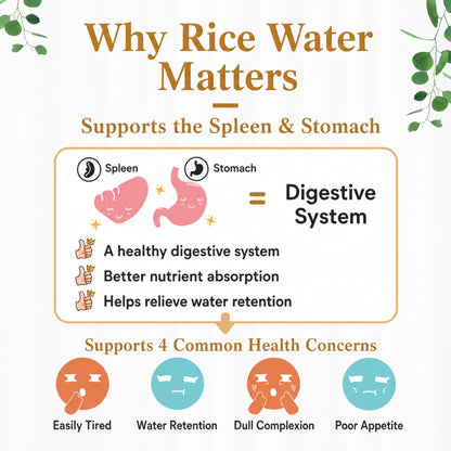 Good Life 360 Arabica Rice Water 21g×15s | Gentle Coffee Pick-Me-Up Good Life 360