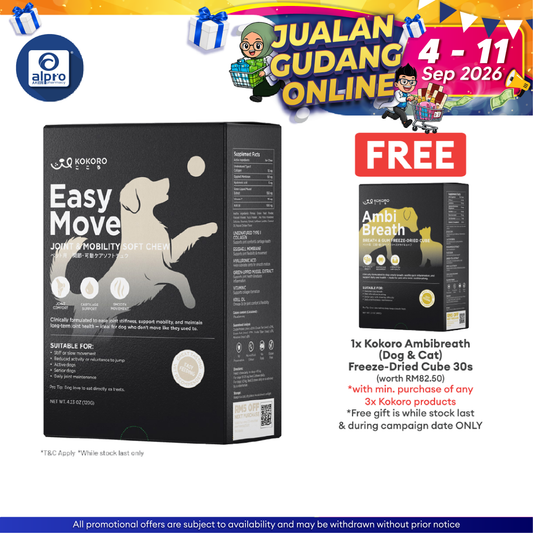 Kokoro Easy Move (Dog) - Joint & Mobility Soft Chew 30s | Lubrication & Nourishment Kokoropet