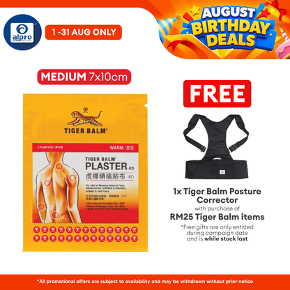 Tiger Balm Plaster Warm 7cmx10cm 2s | Warm Relief for Sore Muscle Tiger Balm
