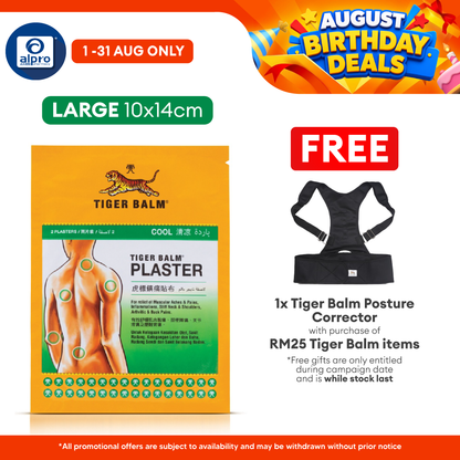 Tiger Balm Plaster Cool 10cmx14cm 2s Tiger Balm