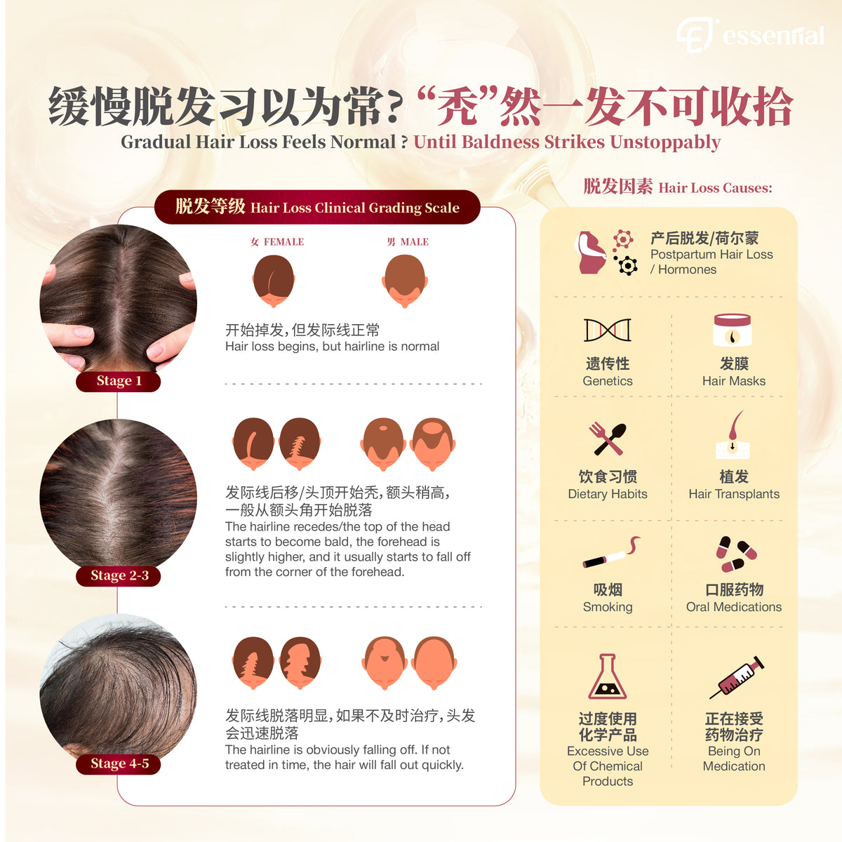 Essential Hair Care Activ Ampoule (5x5ml / 12x5ml) | Strengthen Hair Root
