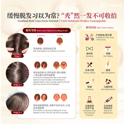 Essential Hair Care Activ Ampoule (5x5ml / 12x5ml) | Strengthen Hair Root