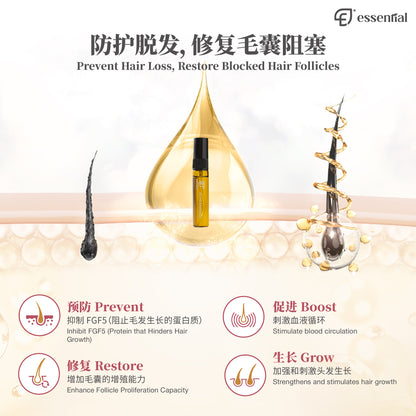 Essential Hair Care Activ Ampoule (5x5ml / 12x5ml) | Strengthen Hair Root