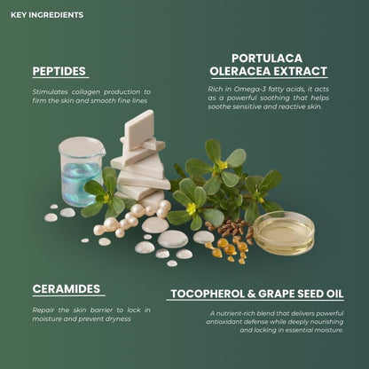 Cura-Fic Advanced Skin Renew Cream 30g | Powerful Anti-Aging Effect