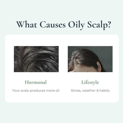 Off & Relax Spa Shampoo Deep Cleanse Relaxing Forest Bathing Scent 460ml | Deep Scalp Care